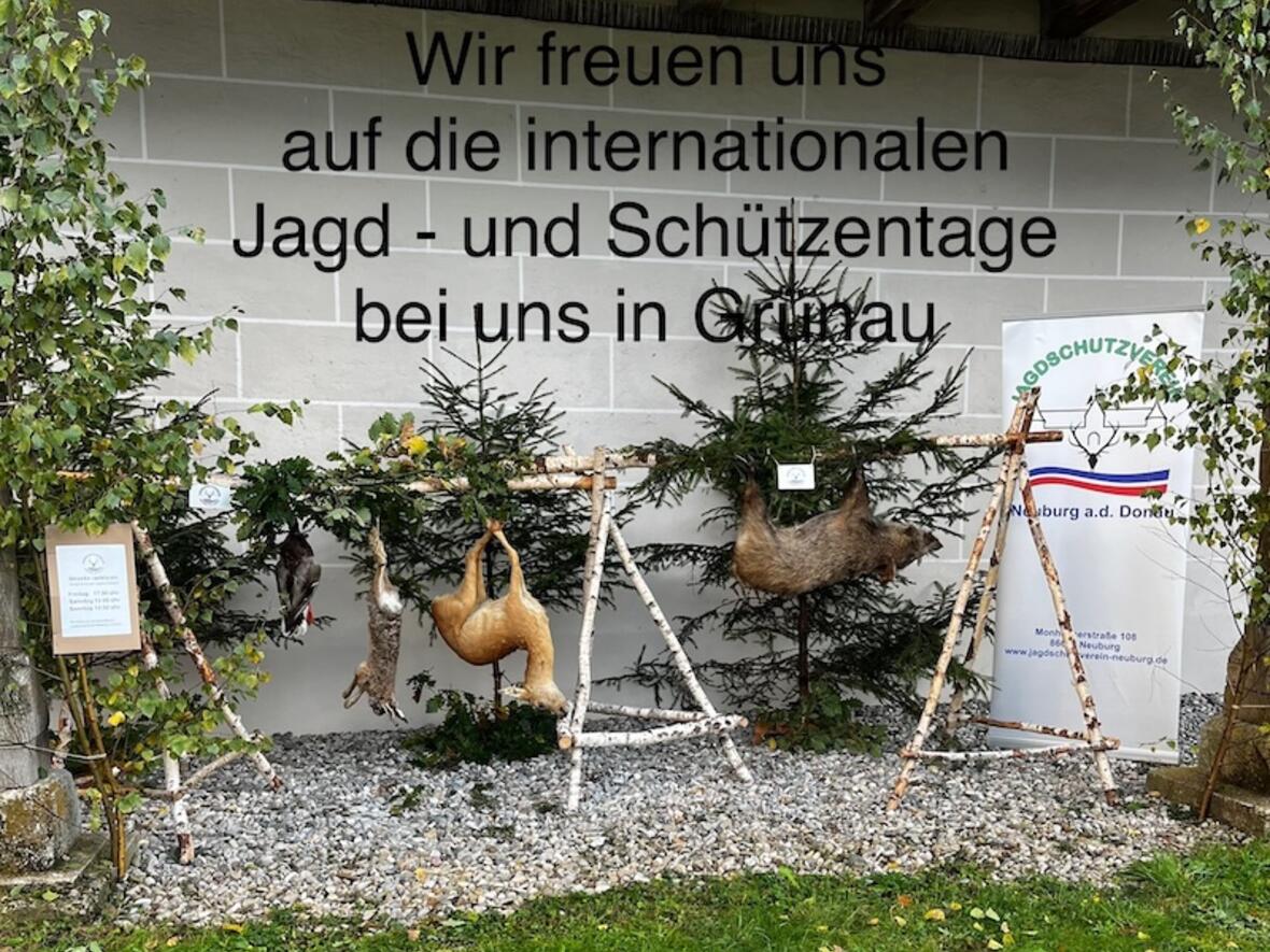 Bild: Picasa